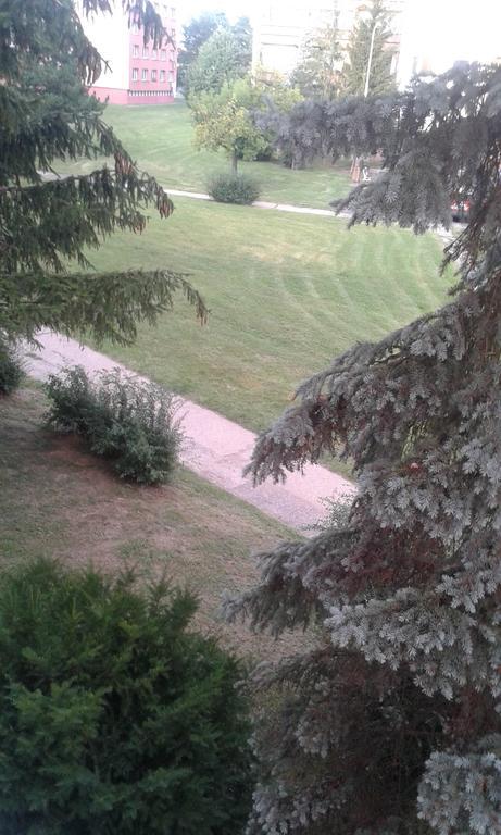Apartman Ortenova 74 Kutná Hora Dış mekan fotoğraf